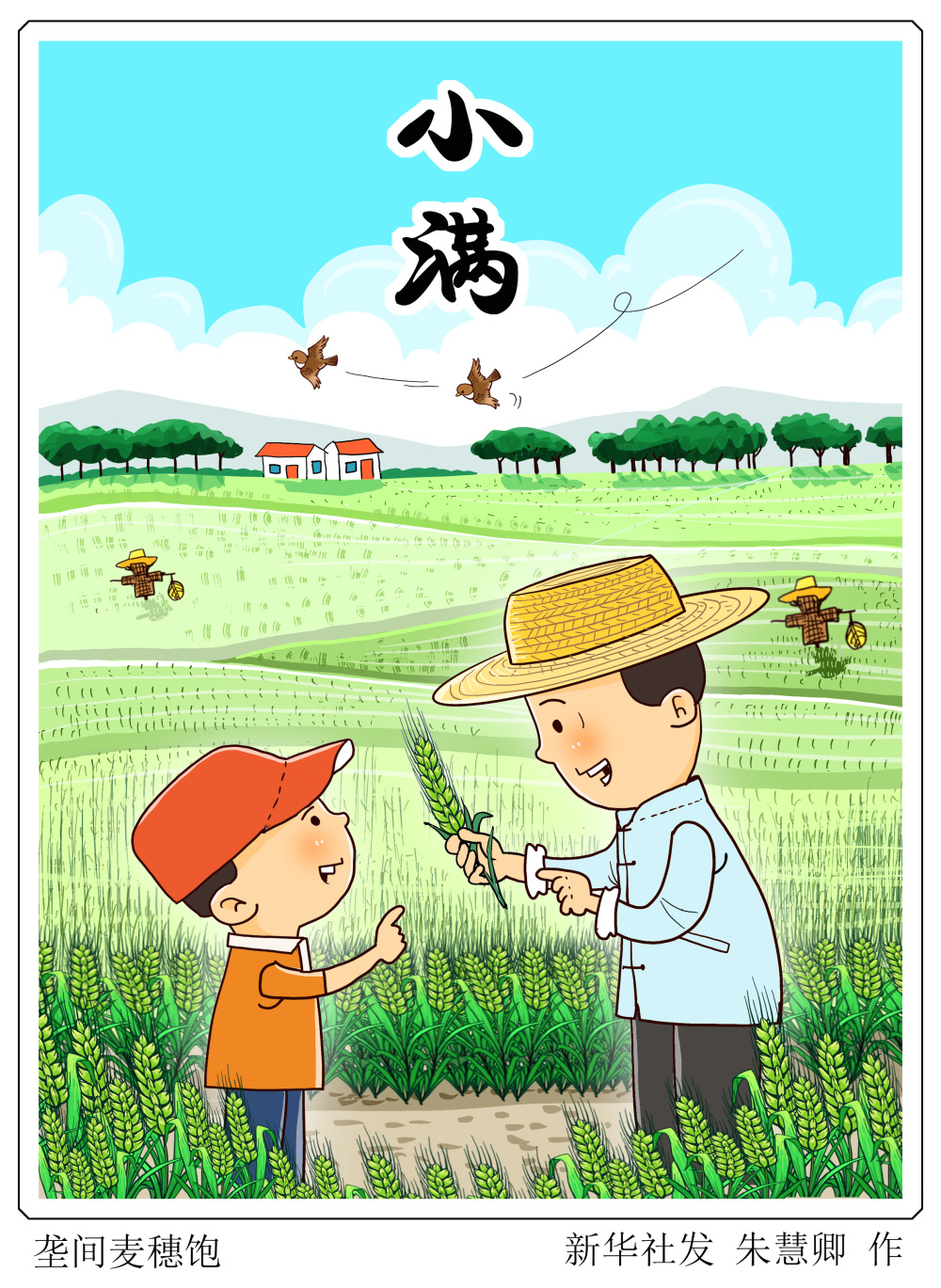(图表·漫画)[二十四节气·小满]垄间麦穗饱