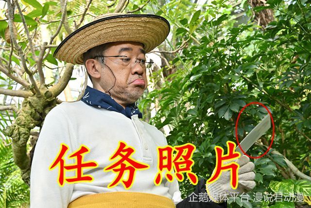 假面骑士极狐：邪魔徒抓铺沙罗，极狐霸牛解救，太狸也要入伙