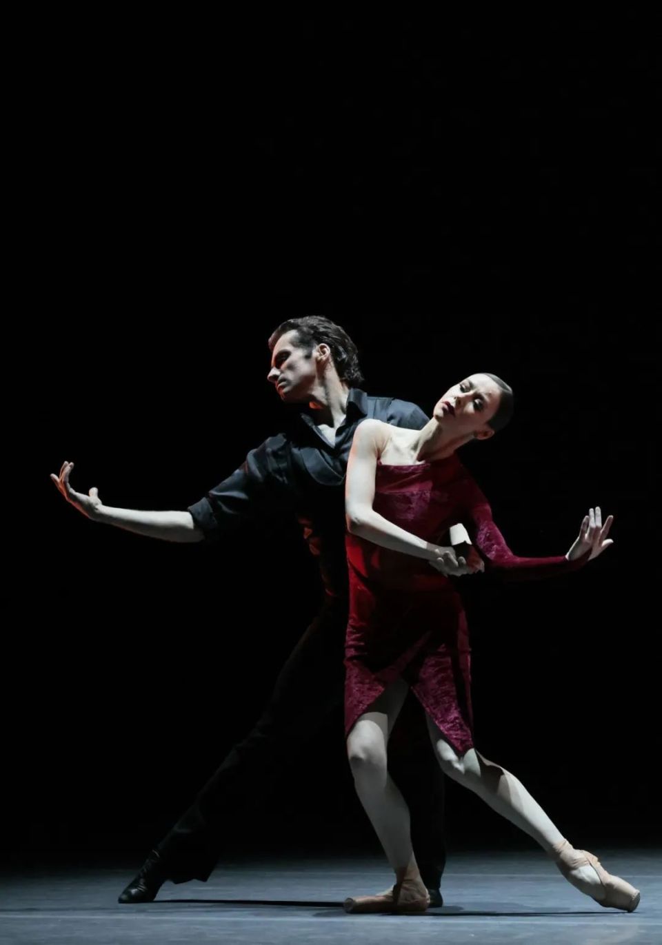 4月3日开票| 莫斯科大剧院芭蕾舞团《精品芭蕾荟萃》《睡美人》即将惊艳亮相！-腾讯新闻