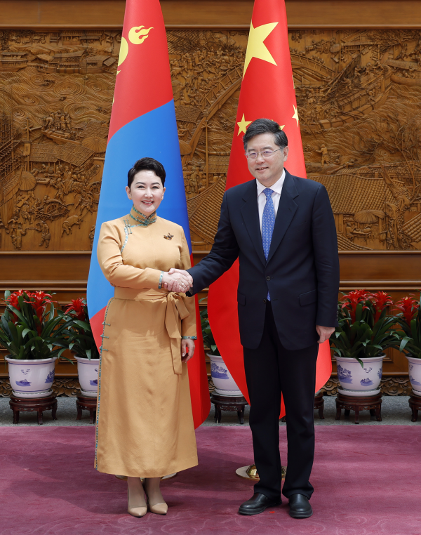 秦刚同蒙古国外长巴特策策格会谈，双方一致同意加强防治沙尘暴合作什么情况 具体什么意思-313啦实用网