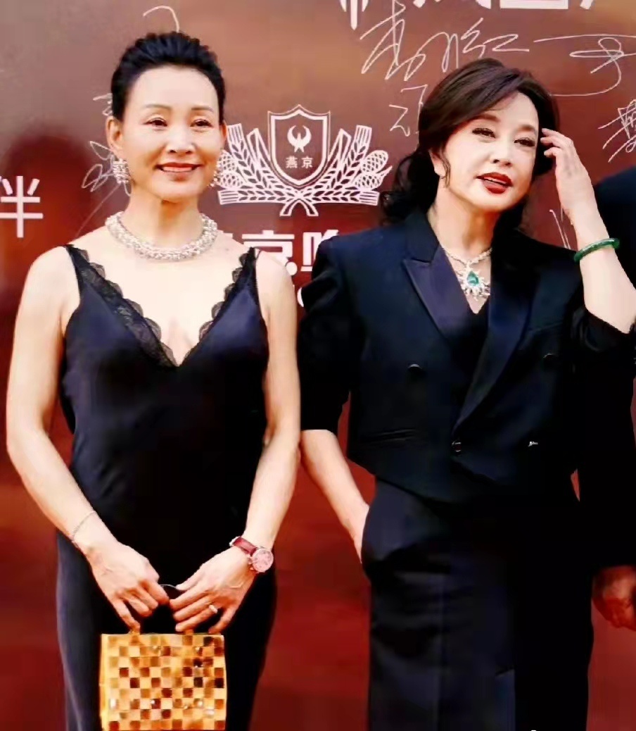 刘晓庆颜值回春和62岁陈冲牵手同框如同姐妹关系好