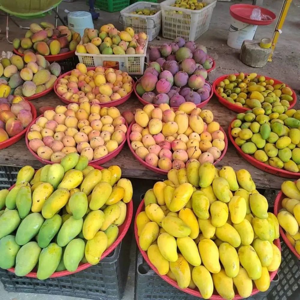 芒果配上糯扎渡独具特色的舂辣椒酸与辣在味蕾中碰撞让人酸爽一"夏"