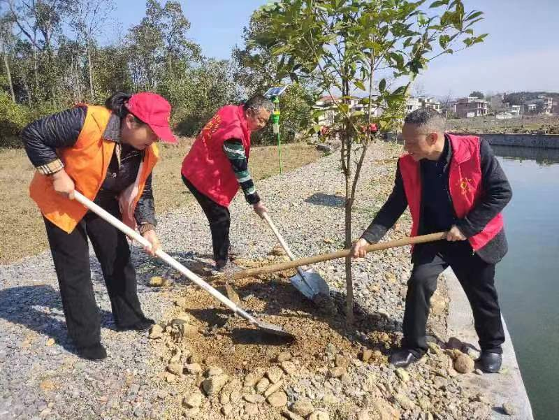 洞口县山门镇开展美丽河湖保护义务植树活动