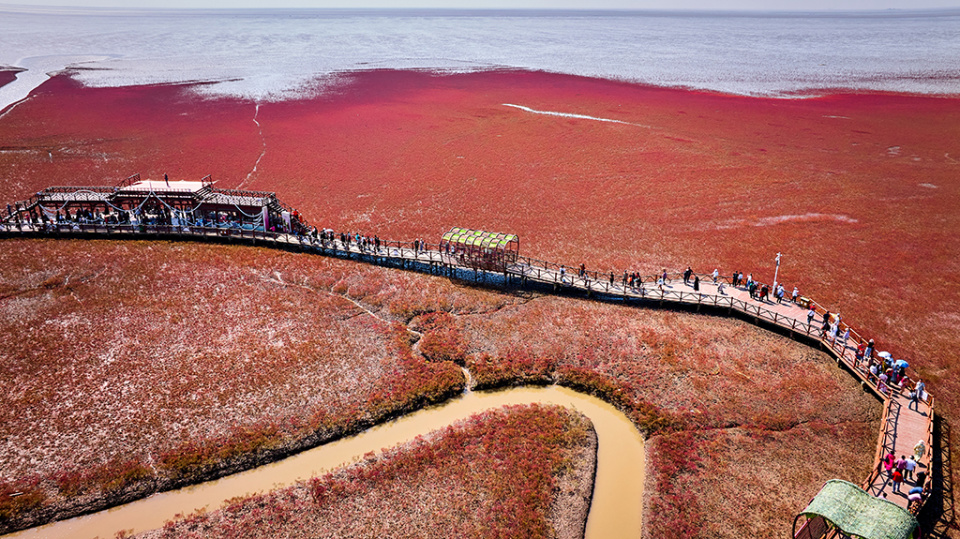 盘锦附近的海边景点图片