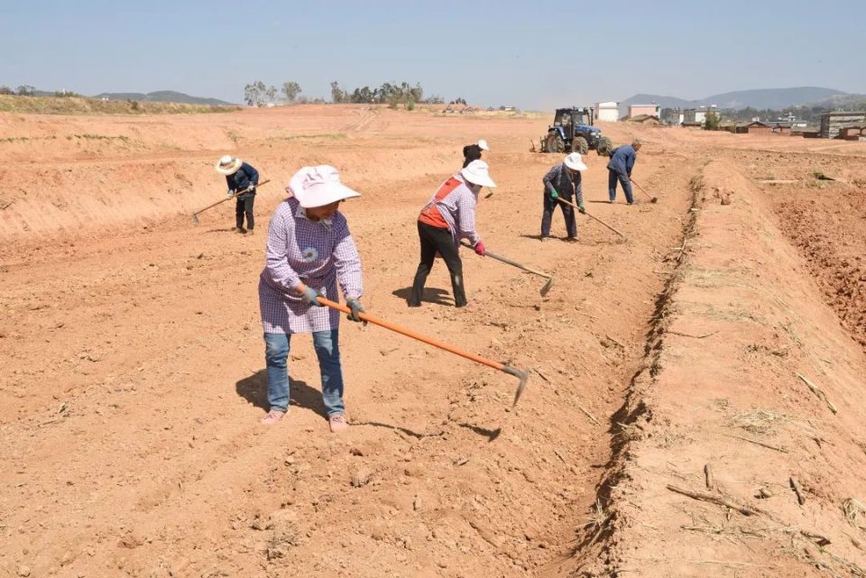 推进耕地"非粮化"整治,守牢粮食安全底线.