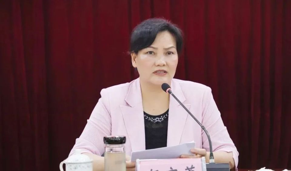 平果县民族事务局局长,平果县副县长,田东县委常委,宣传部部长,副县长