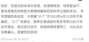 网传8岁大熊猫“小丫”因尿毒症去世，陕西省林业局称属实正宗木须肉怎么做好吃2023已更新(今日/哔哩哔哩)正宗木须肉怎么做好吃