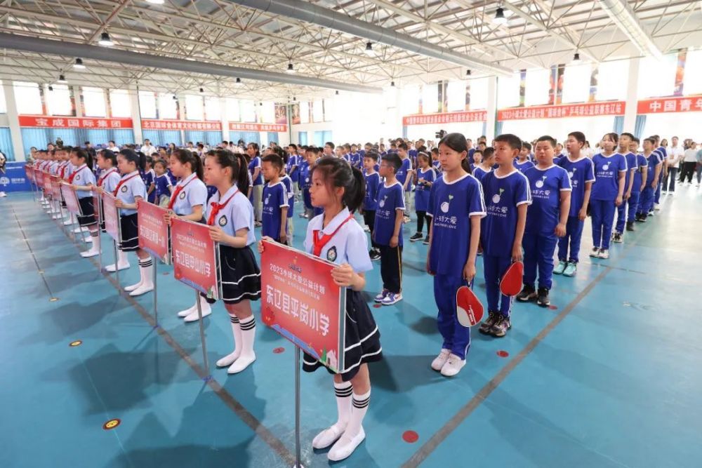 國球舍創始人,小球大愛發起人王楠一行為東遼縣宴平小學,東遼縣安恕鎮