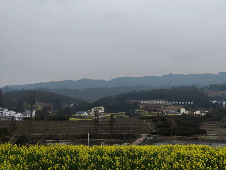 用脚步感知大地芳华 ——"我们的大地"渝西主题采风活动收官_腾讯新闻