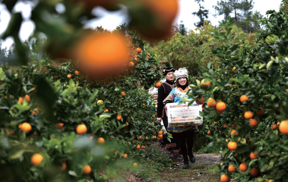 56 个民族一起奔小康:中国重点贫困地区精准脱贫纪实_腾讯新闻
