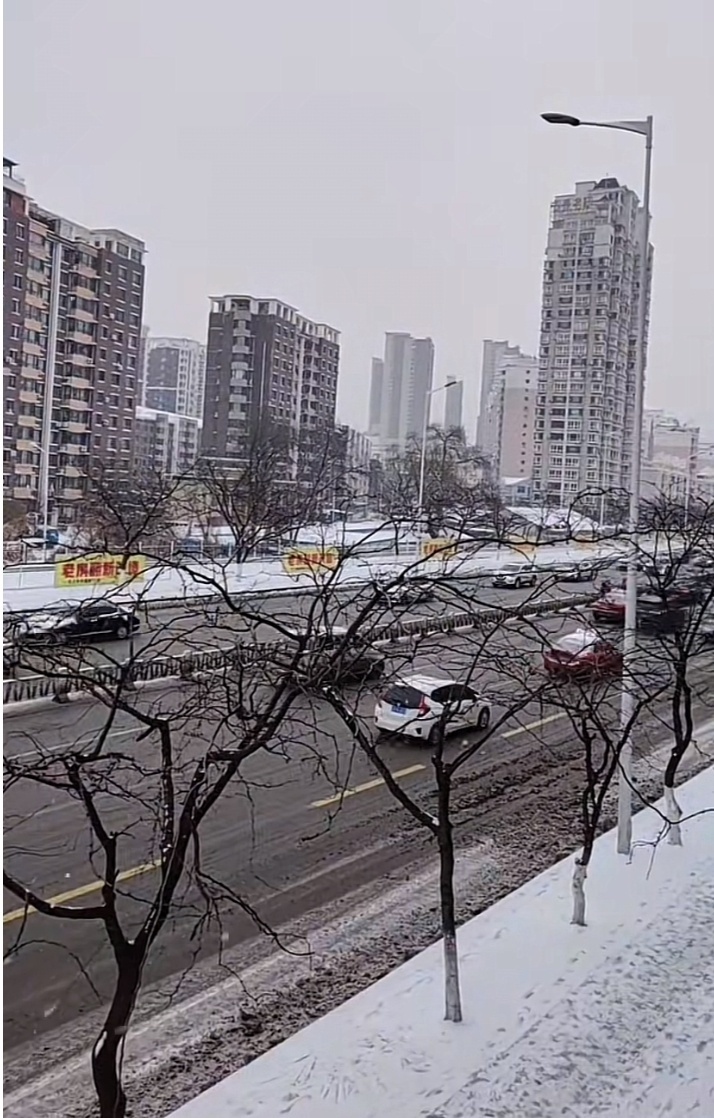 辽宁迎降雪天气本溪市积极采取除雪措施市民效率高比较满意