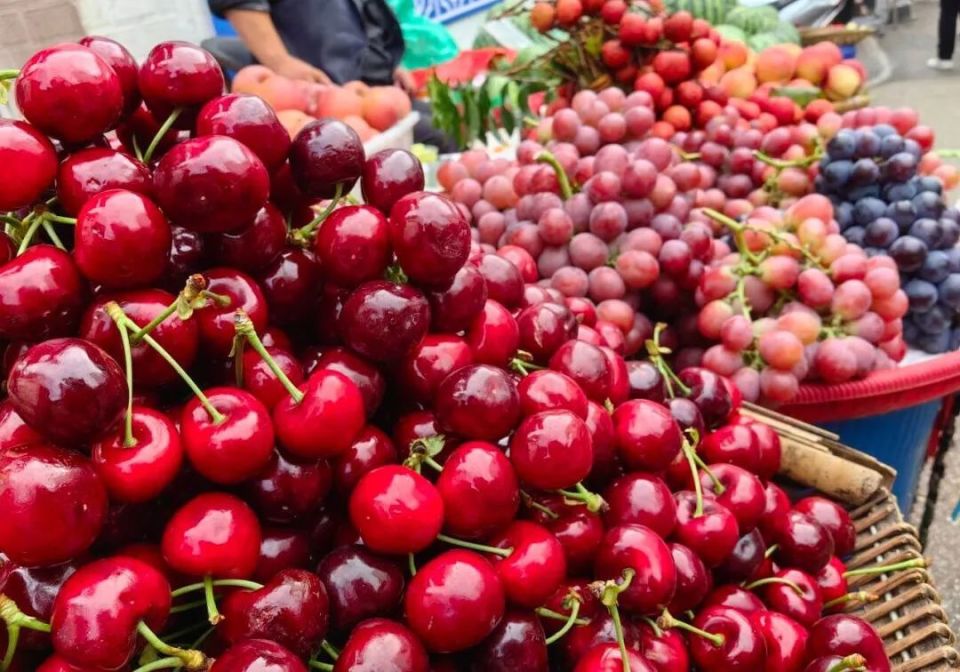 永善百果飘香 "水果自由"模式快乐开启