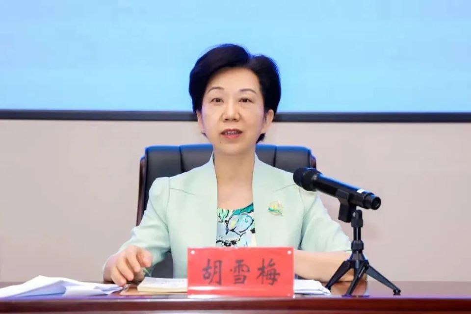 2002年10月,胡雪梅被调往江西省委组织部工作,先后担任研究室(政策