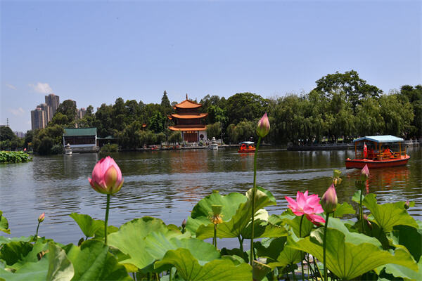 昆明到底有多city?