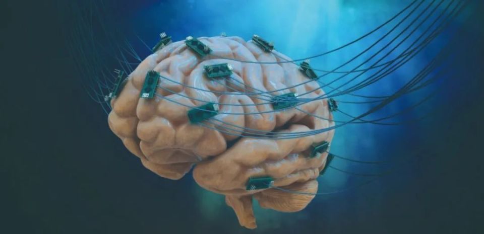 改装人脑,能超越人工智能?