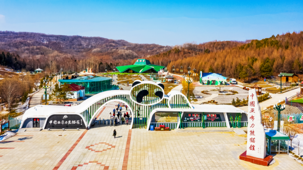 龙江森工集团:"双节"期间亚布力熊猫馆每天延长开放2小时-腾讯新闻