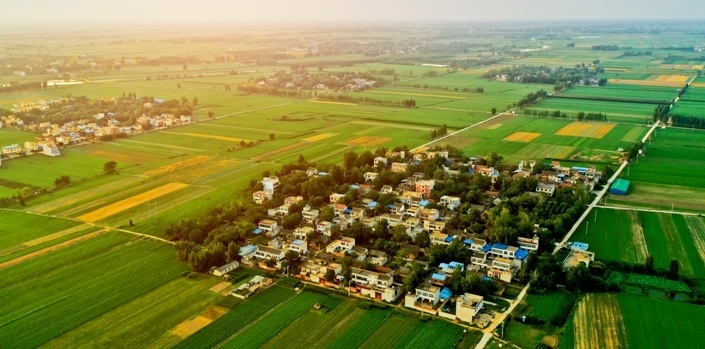 河南新野:从"千万工程"到"万千蝶变"