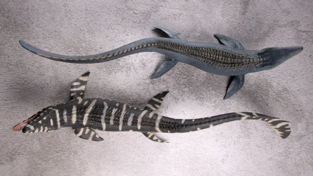 本心楠改沧龙2.0入手_腾讯新闻