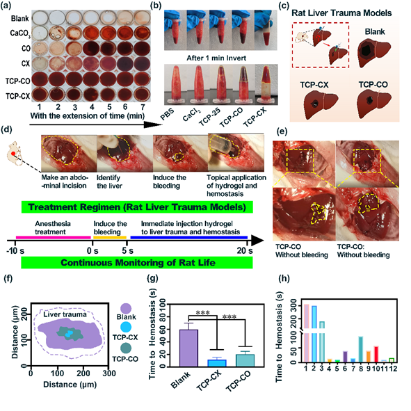 生物止血膜有哪些福州大学／中科院物构所《AFM》：生物启发的自愈性水凝胶，实现胃溃疡快速止血与促进伤口愈合_https://www.jmylbn.com_新闻资讯_第7张