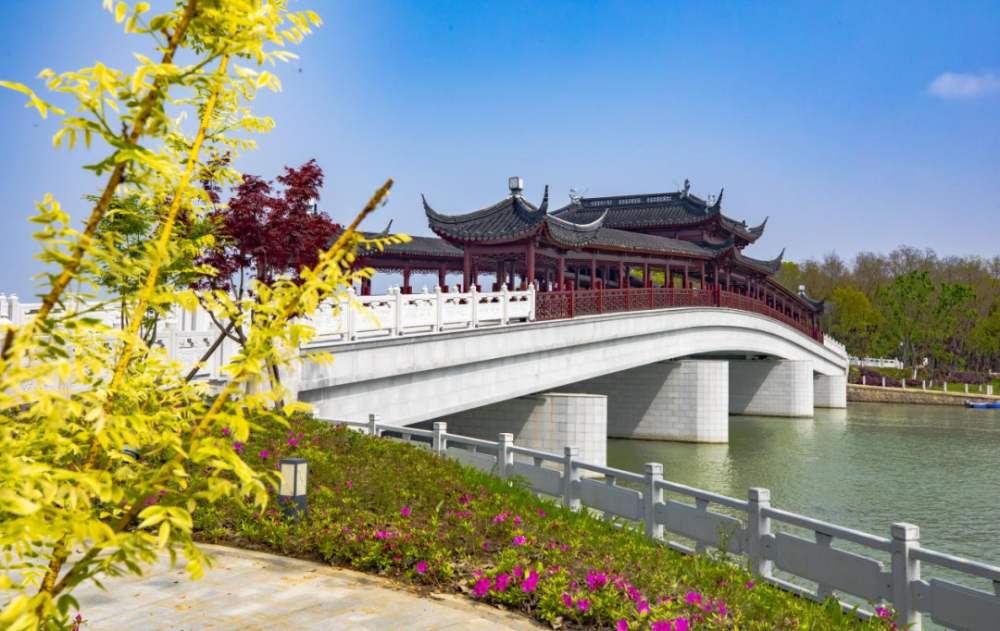 夏日"沪"水游丨青浦:元荡湖畔生活图鉴 美好生活当如是
