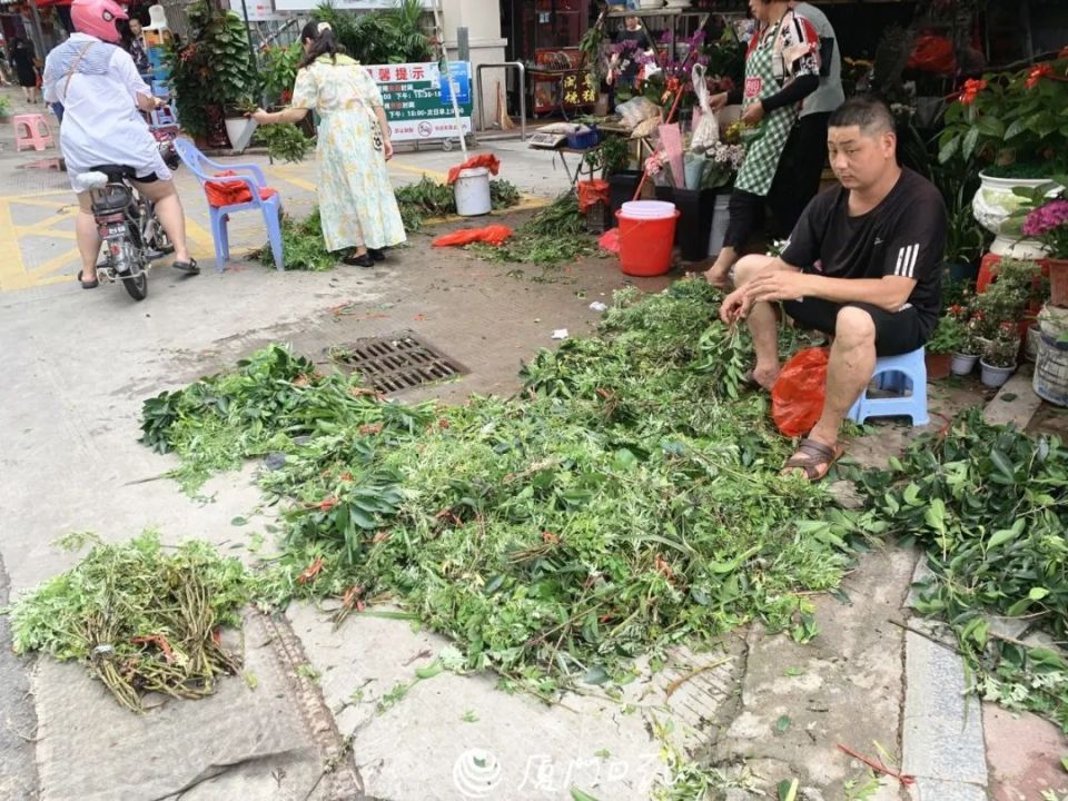 升升升!直冲31℃!接下来的厦门……这东西你买了吗?