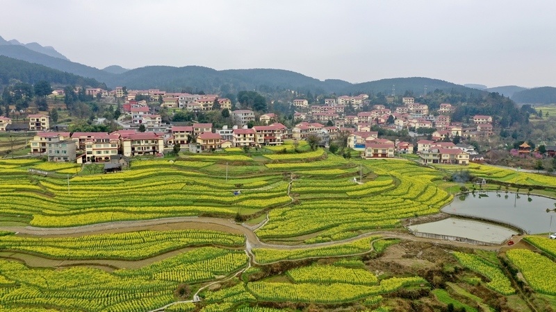 仁怀市风景图片