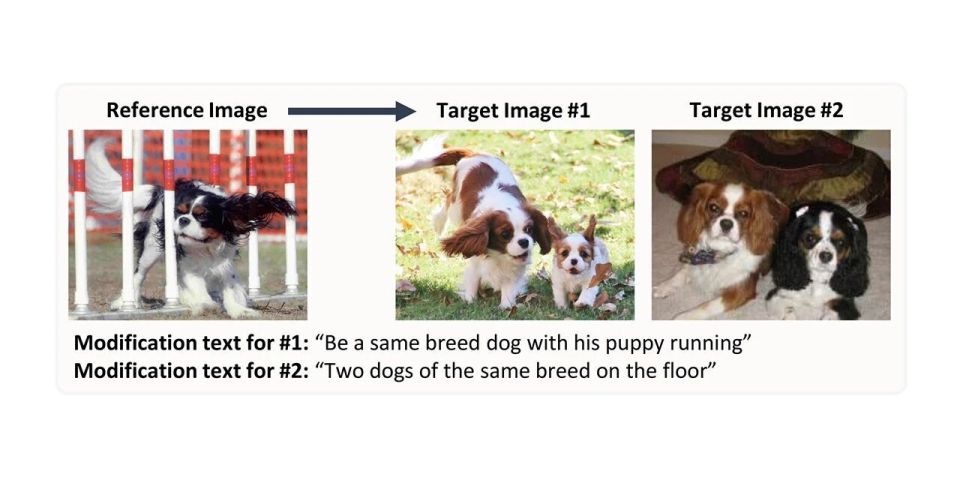 CIRR 数据集示例