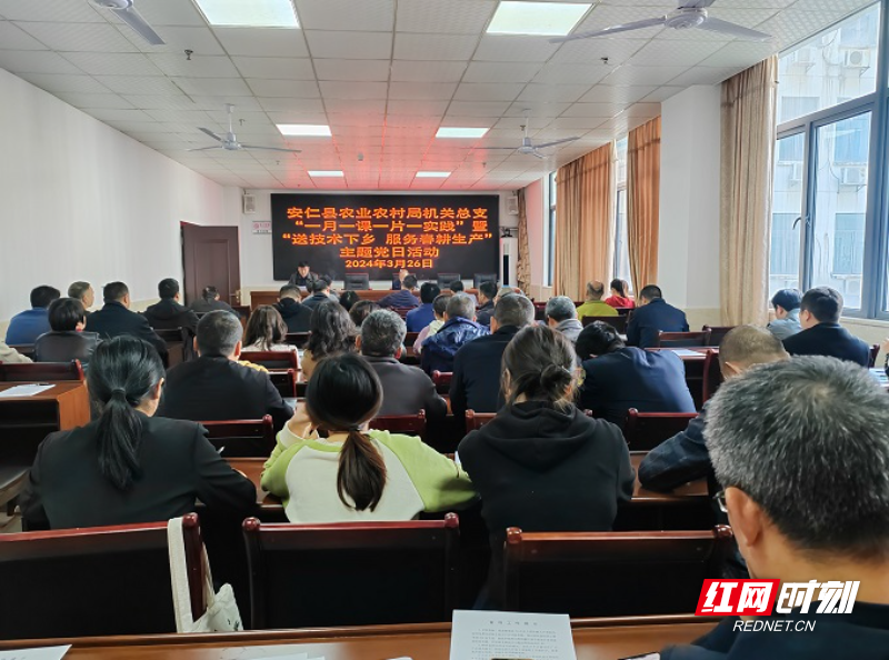 安仁机器轰鸣党旗飘扬春耕生产热辣滚烫