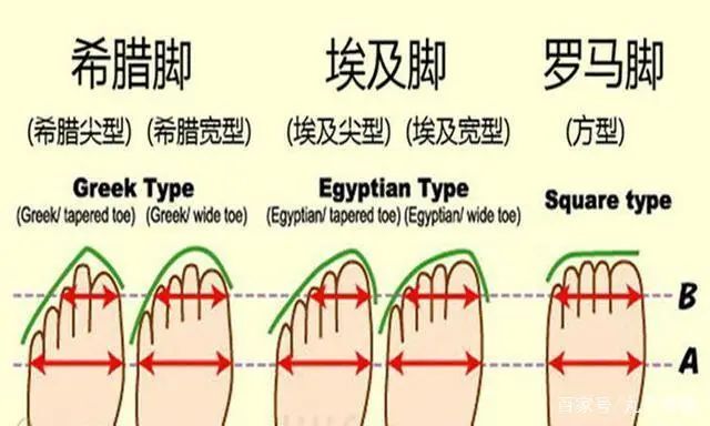 每个人的脚的形状都会不一样,大体上可以分为以上三种脚型:希腊脚