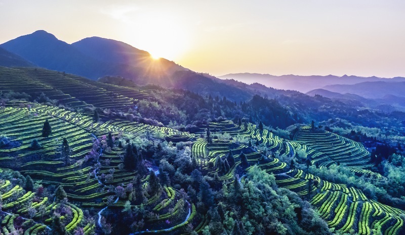 毕节纳雍:把荒山雕刻成了产业的艺术品