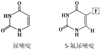 雷替曲塞 VS. 氟尿嘧啶，二者究竟什么关系?_腾讯新闻