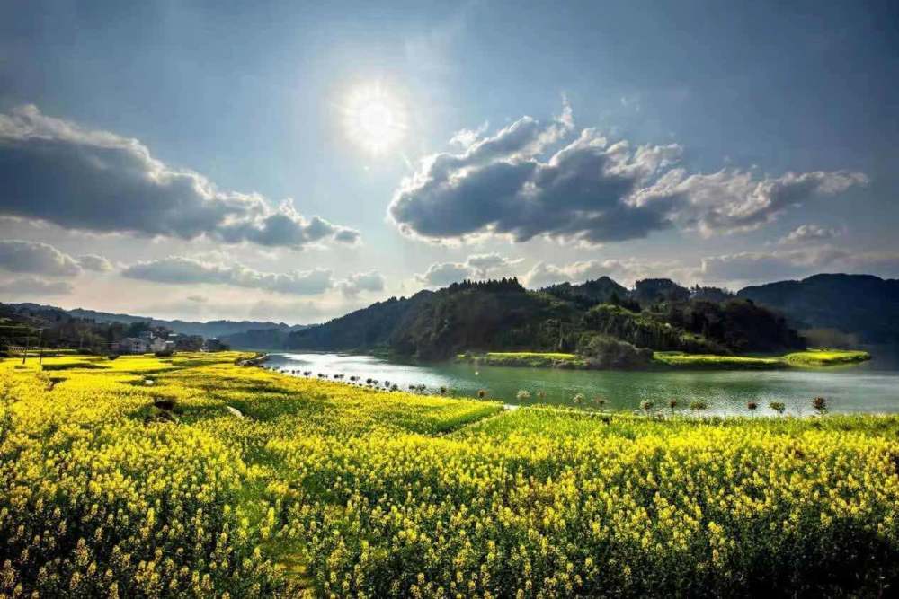 2023年泸溪大陂流第五届油菜花艺术节开幕