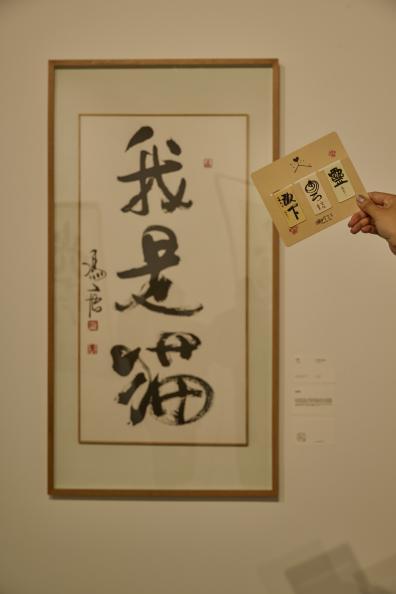 咪星人看过来!冯唐"我是猫"艺术展全国首展在深业上城启幕