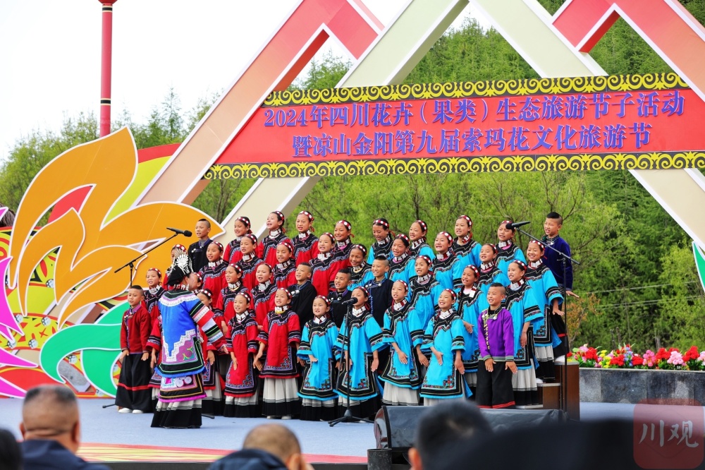 c视频|金阳第九届索玛花文化旅游节开幕,十万亩索玛花海助力文旅强县