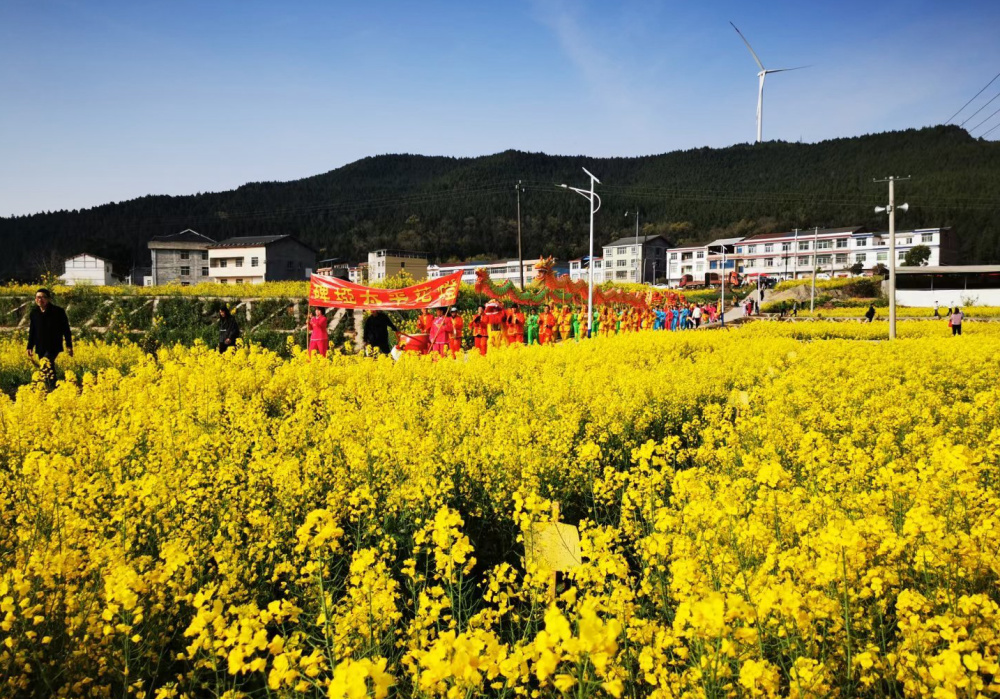 剑阁县第二届百里油菜花海赏花季活动在白龙镇剑南粮油现代农业园区