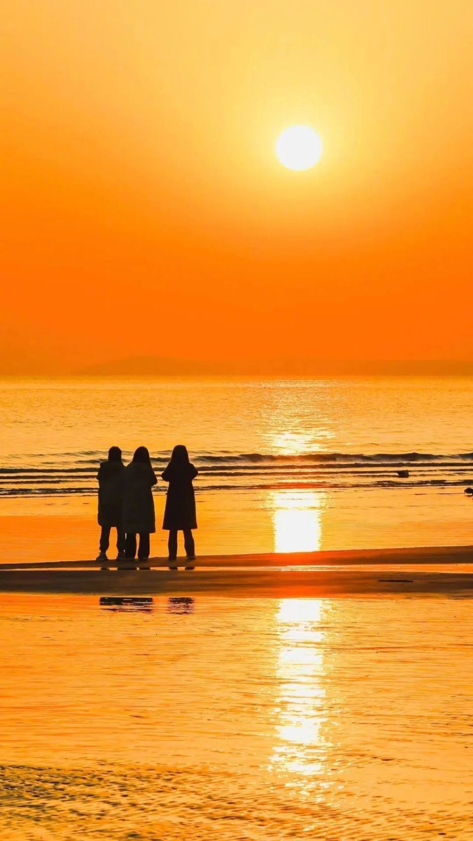 全部开放!hey～洗海澡吗?来沙滩偶遇"巧克力大爷"