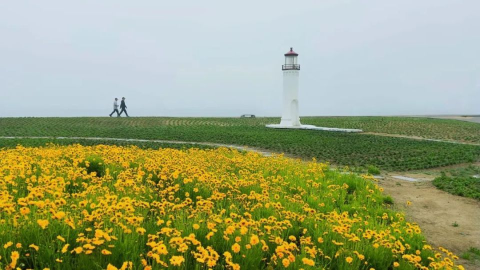 日照天气走起"凉爽路线"这个周末