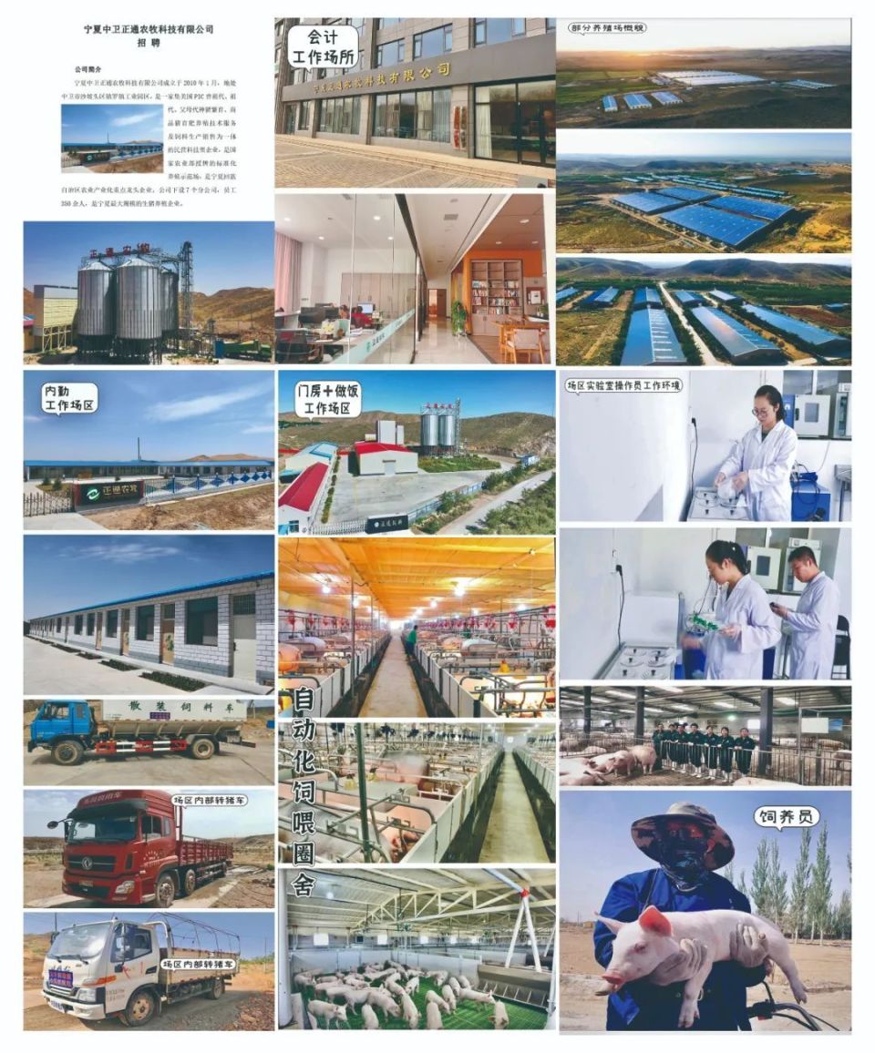 紧急招聘！中卫这几家单位岗位有空缺，快来查看！-腾讯新闻