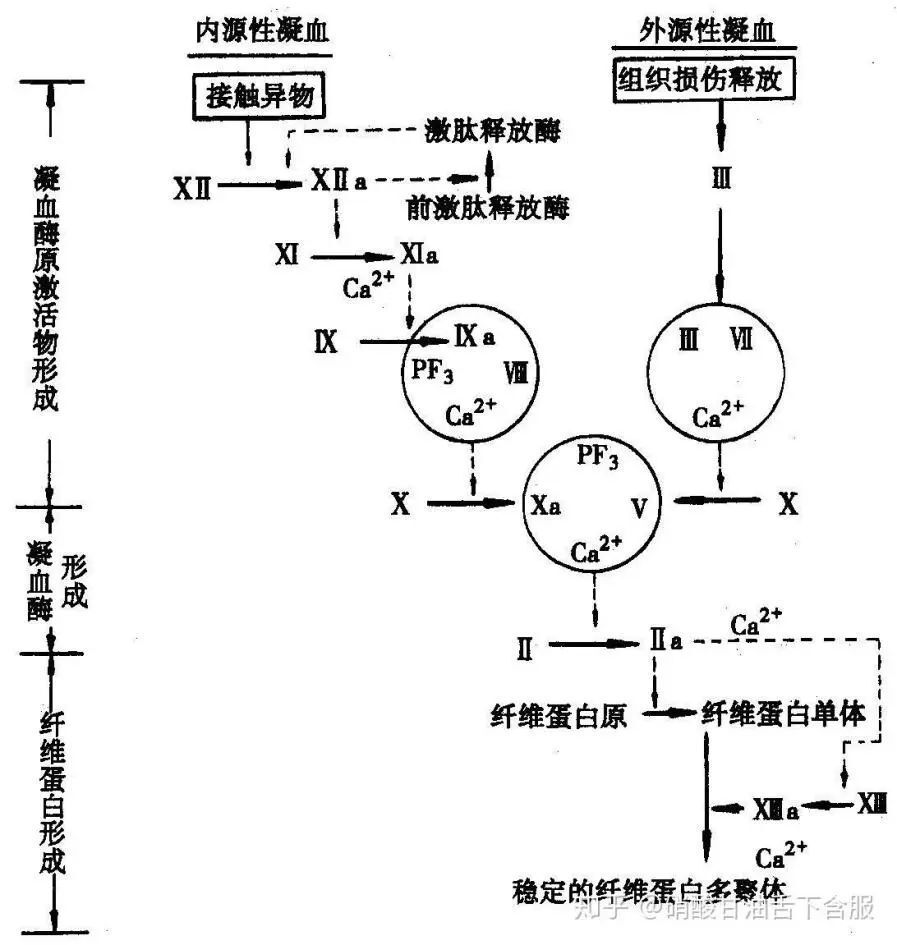 凝血分析有什么意义一文说清凝血结果分析及常见疾病-上海聚慕医疗器械有限公司