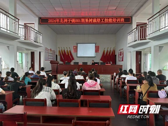 大通湖区北洲子镇:开展培训提技能  培养乡村振兴"新农人"