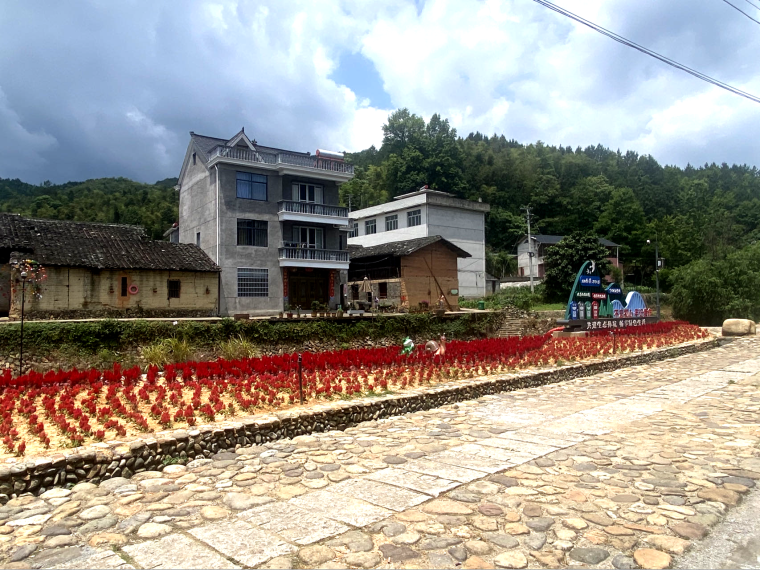 微改造,精提升|小梅镇孙坑村重拾"人文古村"记忆盛景