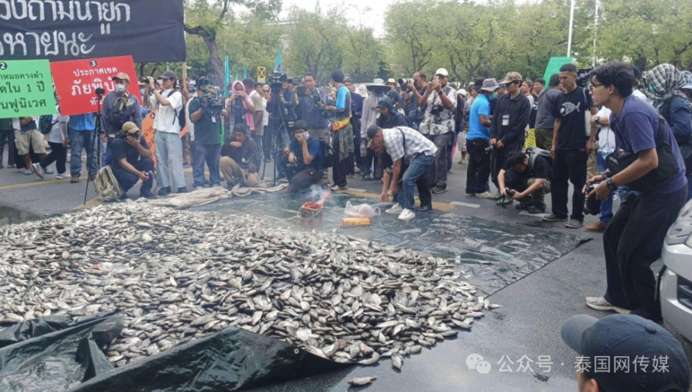 泰国爆发游行！2吨死鱼砸向政府！_腾讯新闻