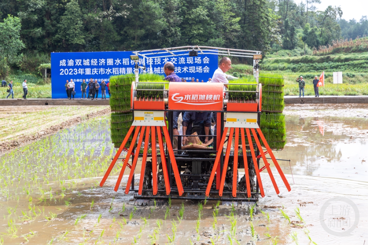 重庆南川:水稻有序抛秧机助农丰收