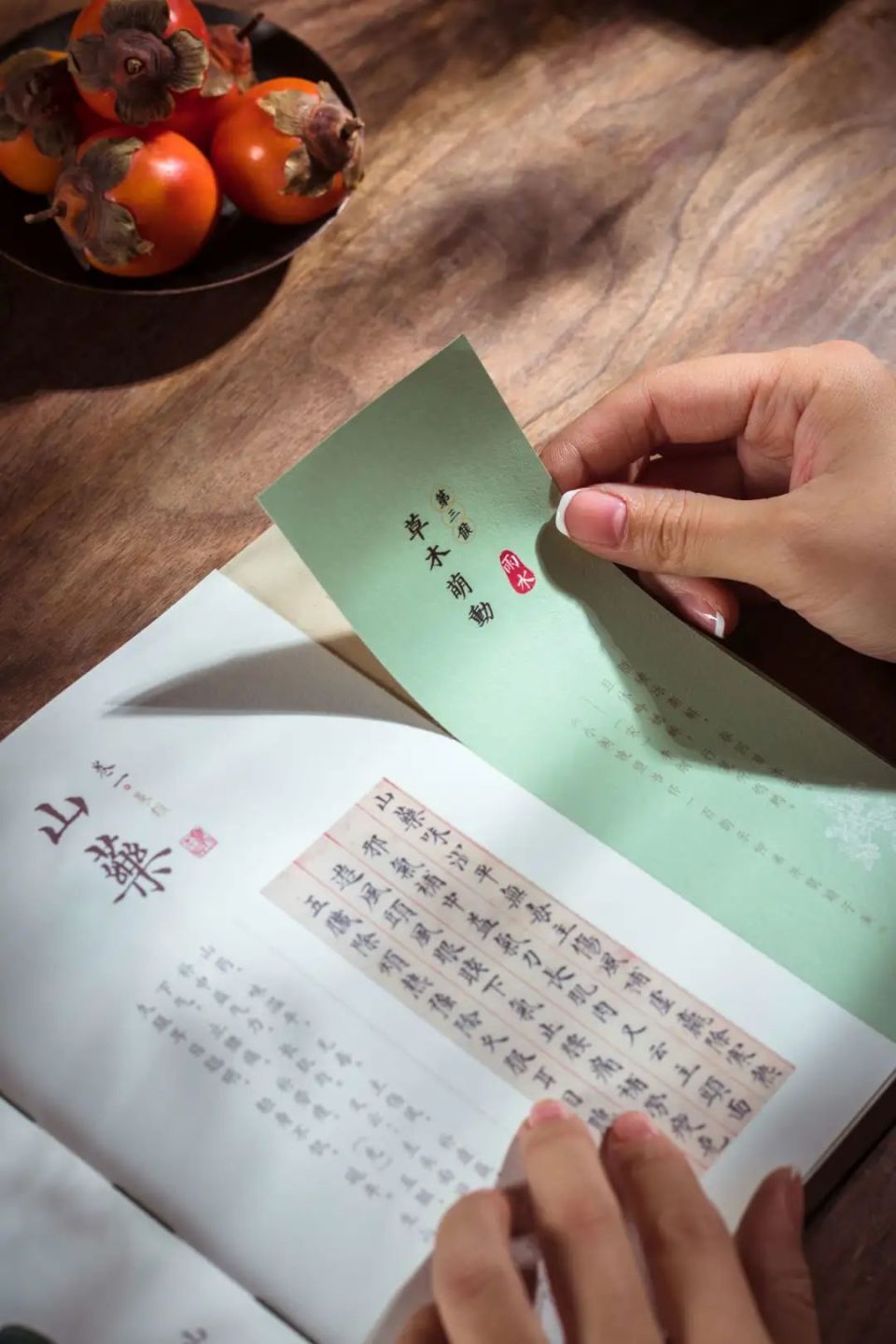 这酒媸,跟李时珍的《本草纲目》并称为"中华中医