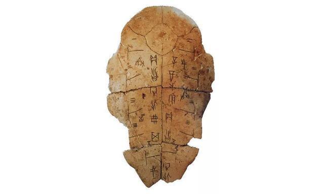 第二十届深圳文博会 | 河南展区即将亮相 四大板块先睹为快