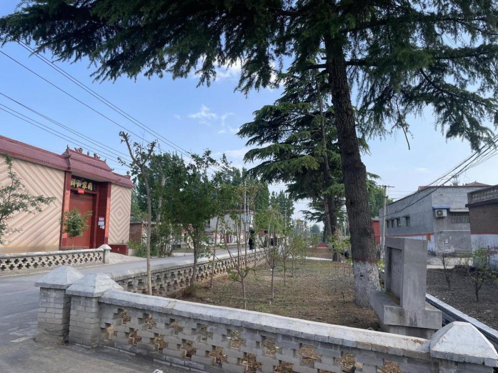 焦作市马村区:村村有绿 处处是景_腾讯新闻