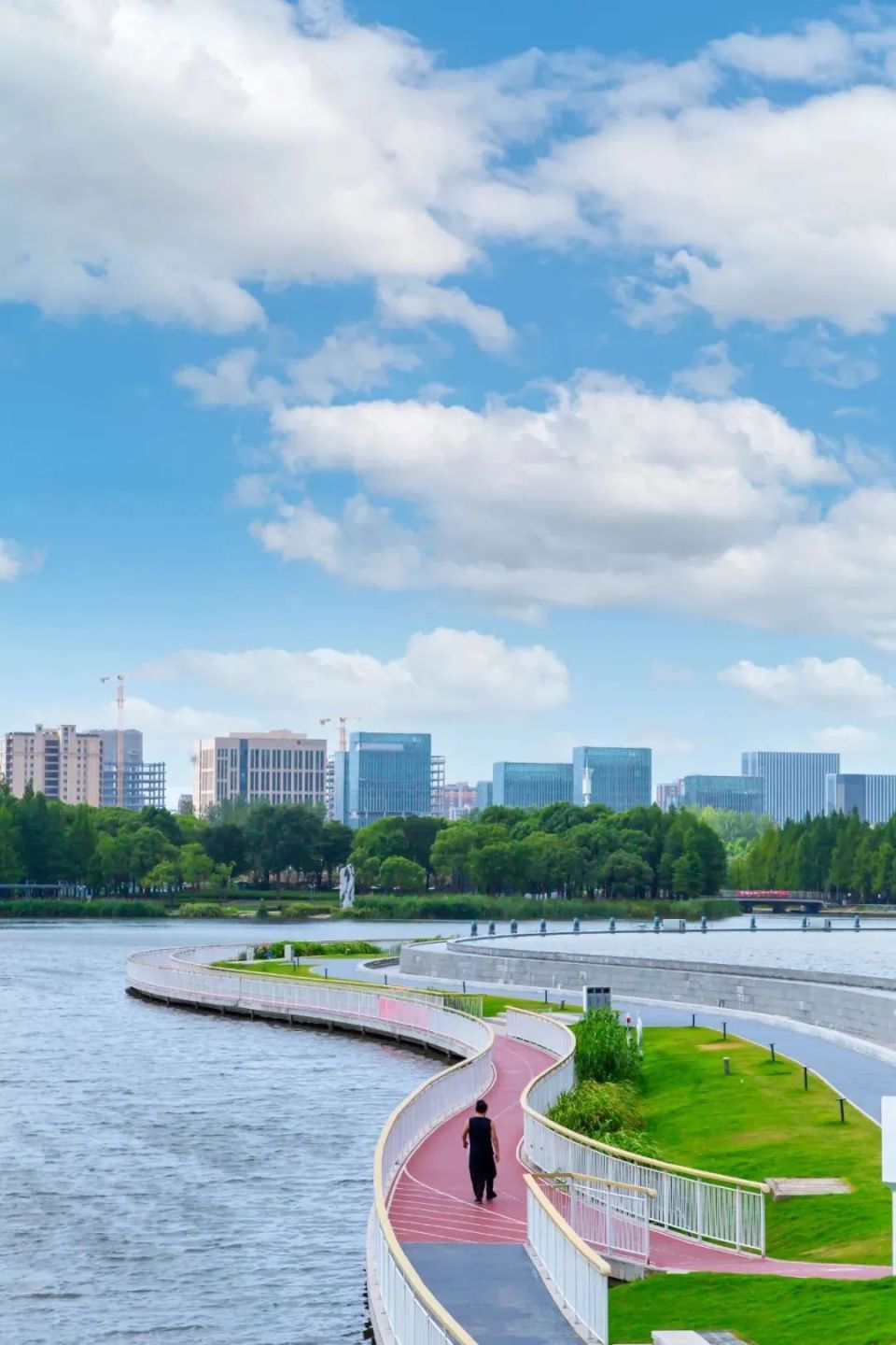 嘉定:湖光美景近在咫尺~一起走进远香湖公园