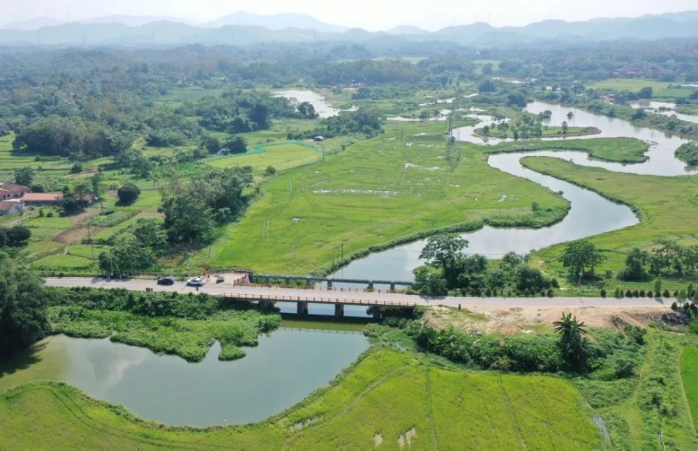 "你看,漠阳江上没有大片水浮莲了."_腾讯新闻
