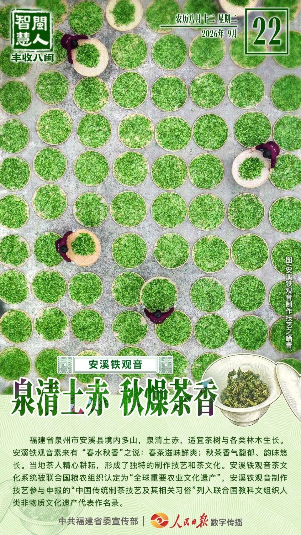 闽人智慧丨安溪铁观音：泉清土赤，秋燥茶香_腾讯新闻