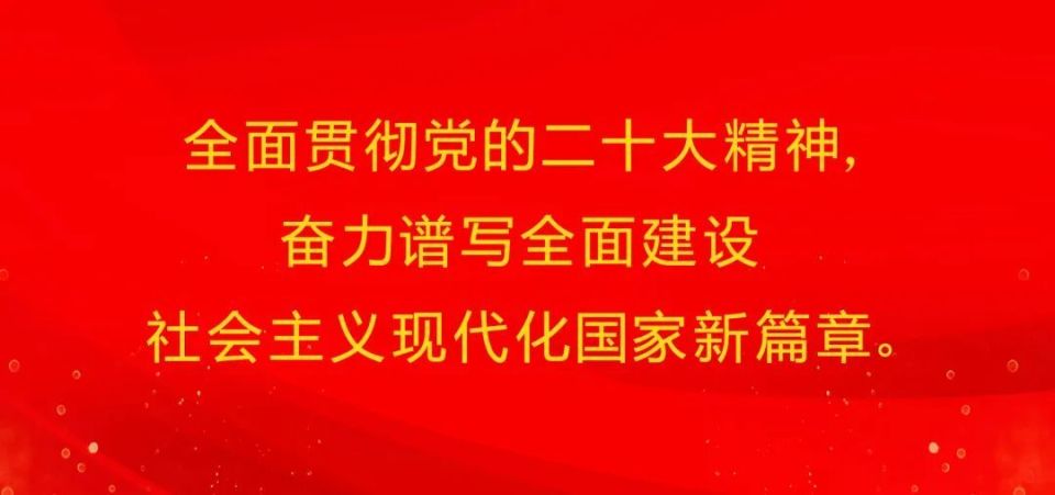 [南方生姜网-图片加载]